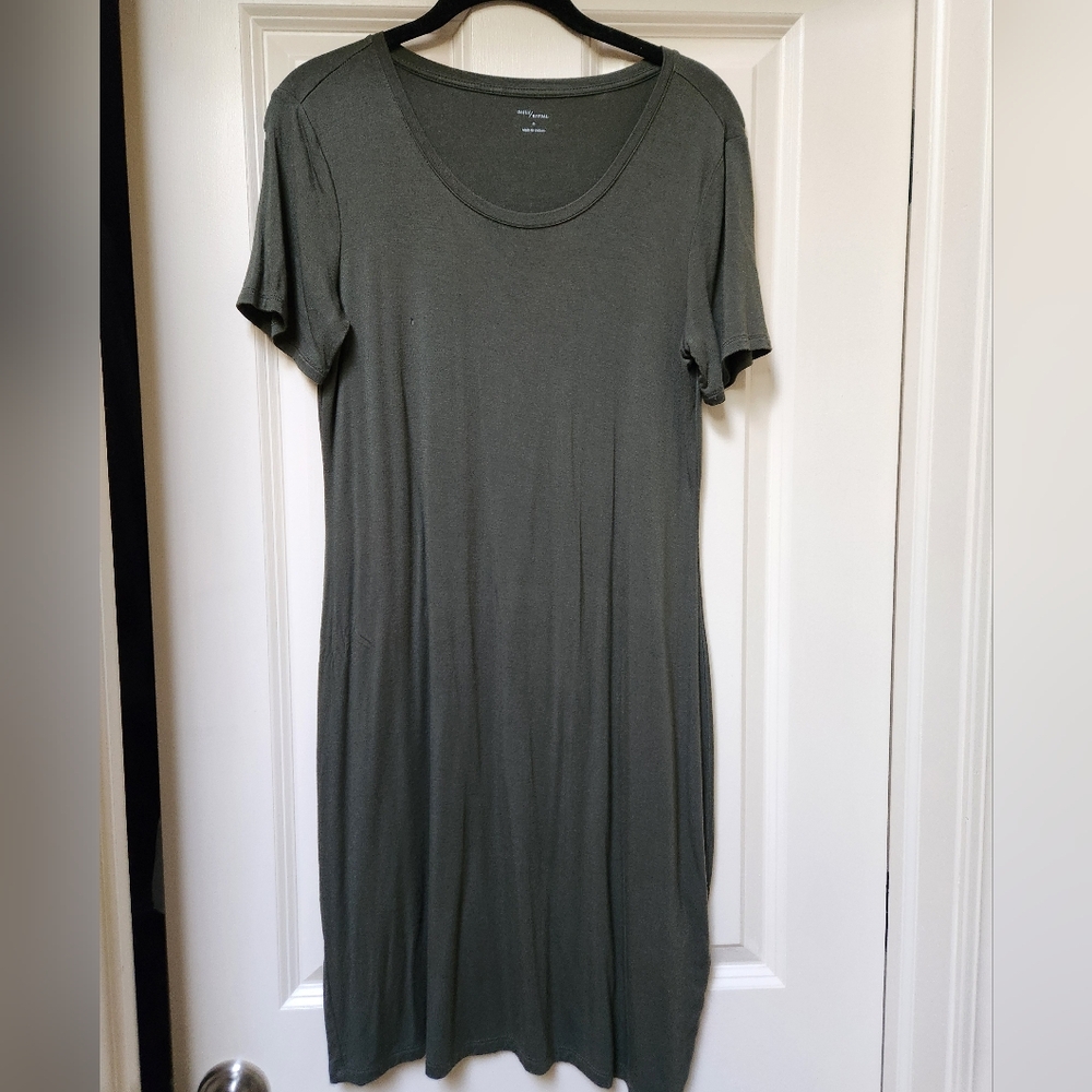 Daily Ritual Olive Green Short Sleeve Dress, Med